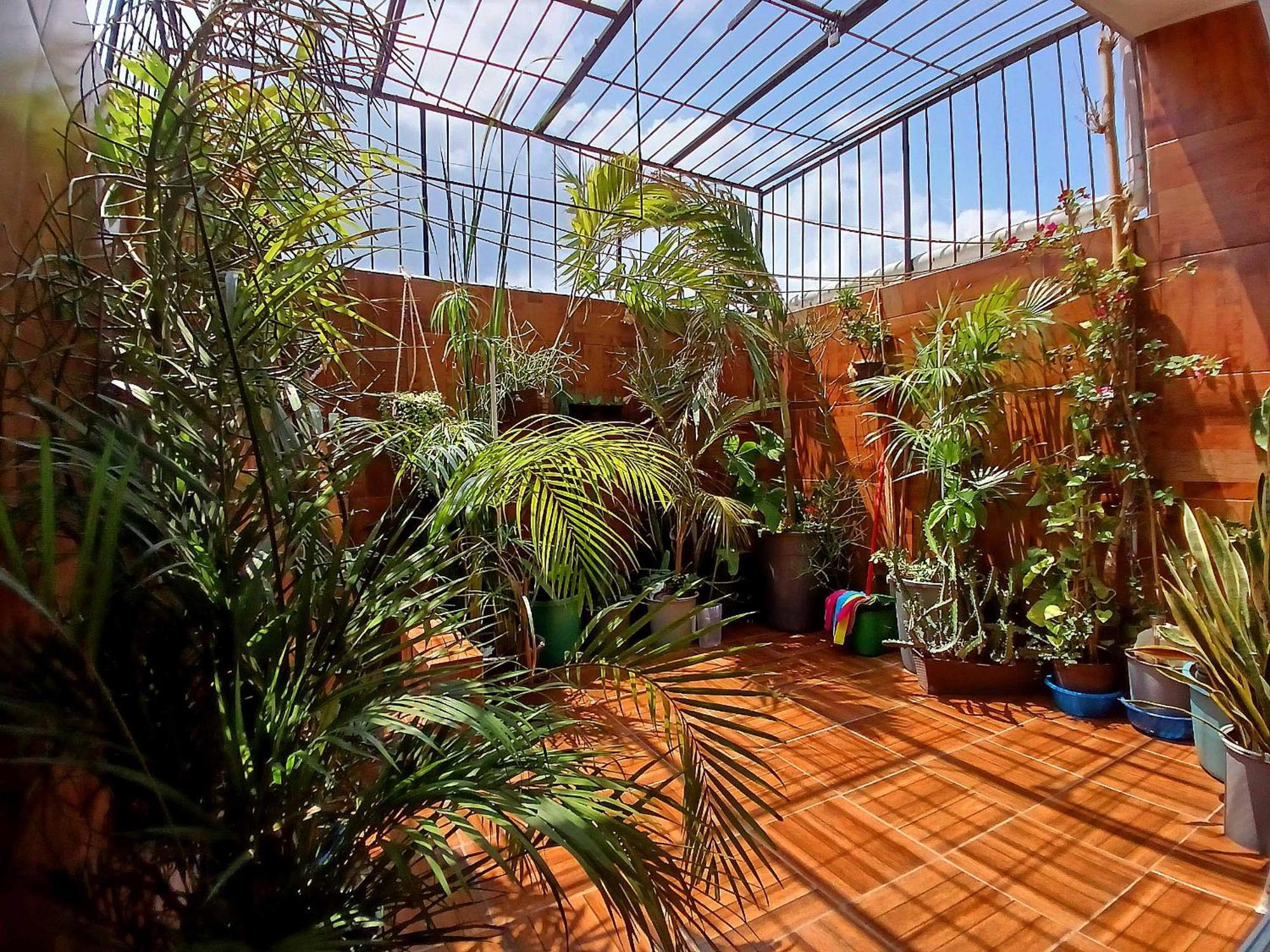 Casa Del Chef Lupita Villa Campeche Luaran gambar